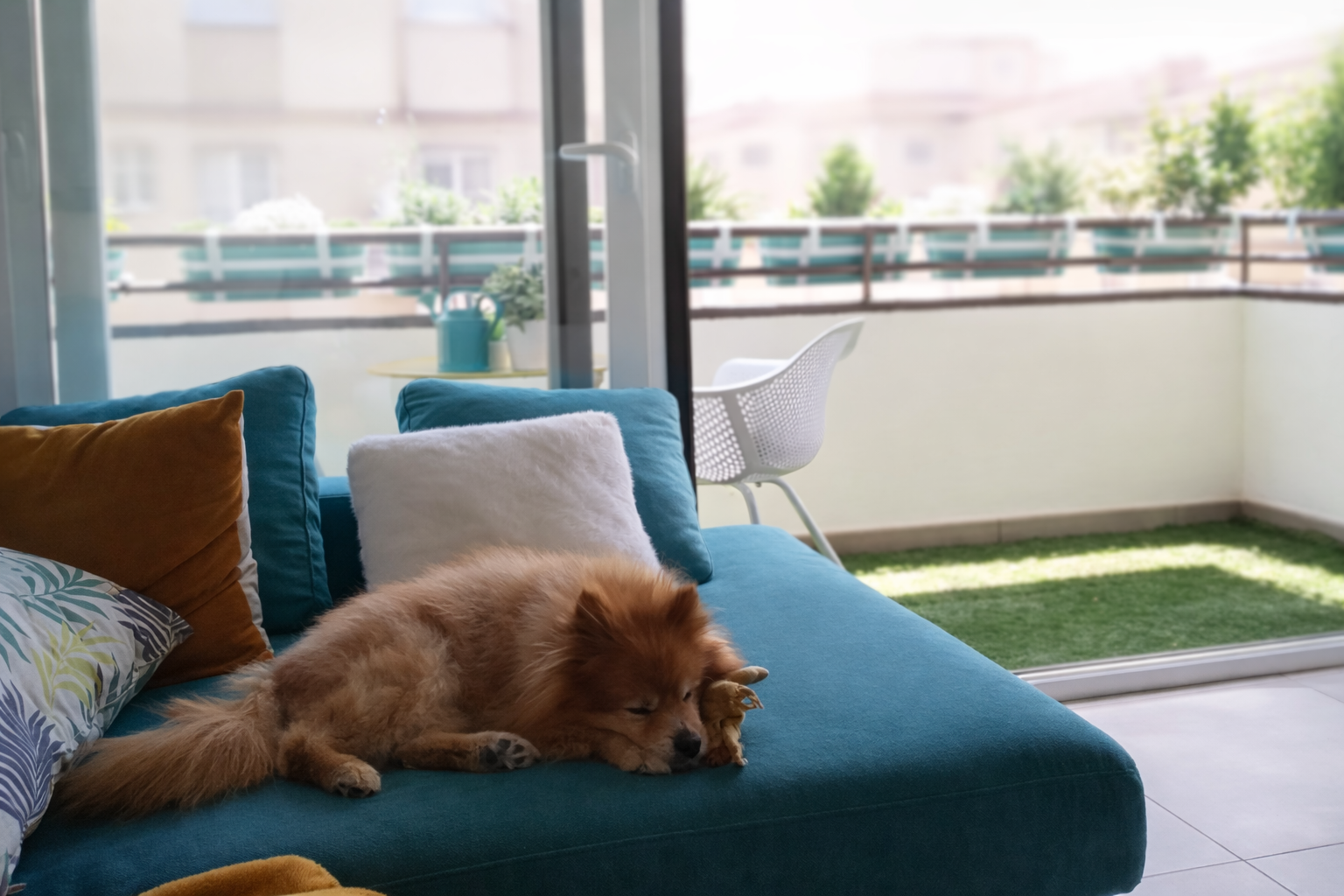 beatriz garcia SS4_09