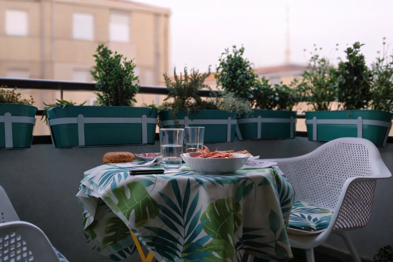 beatriz garcia SS4_10